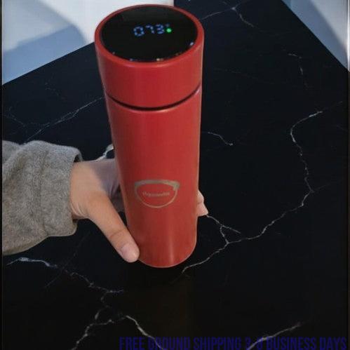 Aqualeeta Smart Digital LED Steel insulated Fahrenheit Temperature Reader. Ship from USA