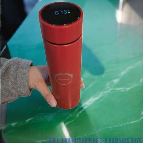 Aqualeeta Smart Digital LED Steel insulated Fahrenheit Temperature Reader. Ship from USA