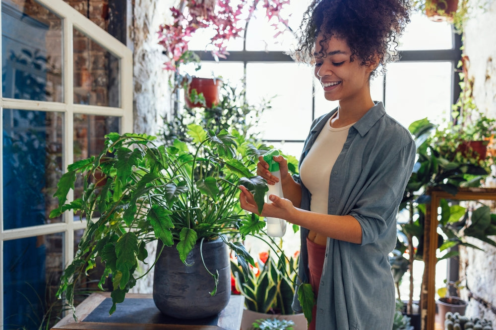 Urban Jungle: Plant Lady Haven