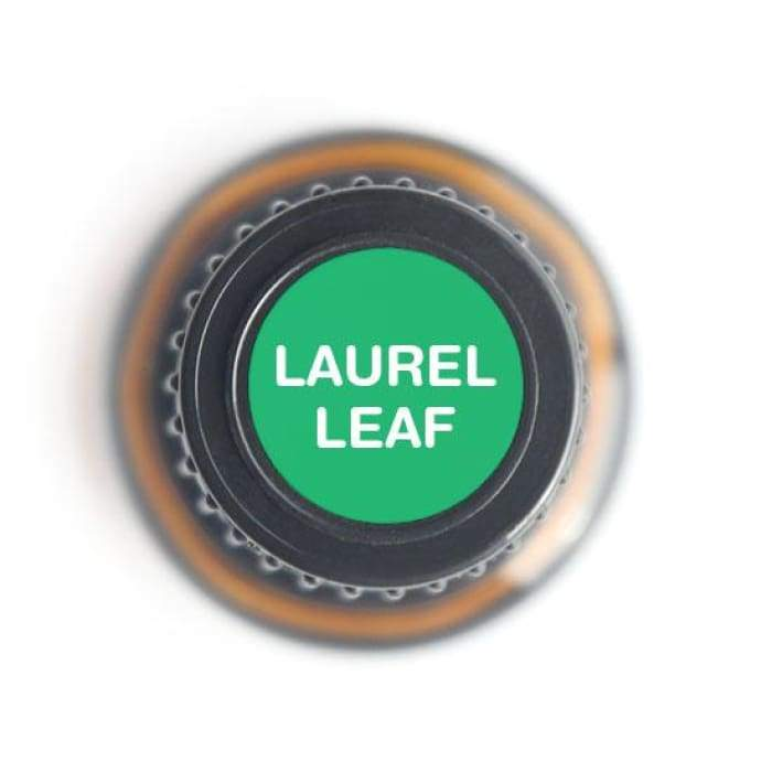 Laurel Leaf Pure Essential Oil - 15ml - Luminous Bear Shop