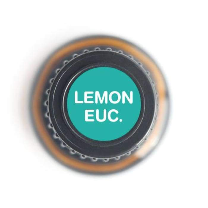 Lemon Eucalyptus Pure Essential Oil - 15ml - Luminous Bear Shop