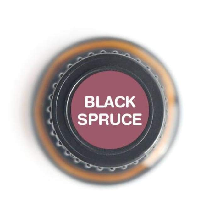 Black Spruce Pure Essential Oil - 15ml - Luminous Bear Shop