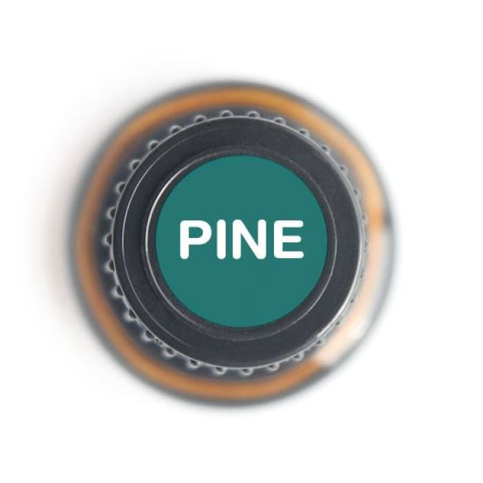 Pine Pure Essential Oil - 15ml - Luminous Bear Shop