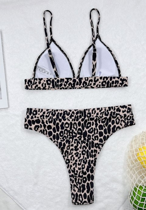 Tropical Hideout 2 Piece Bikini