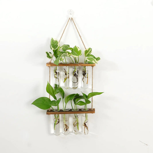 Wall Hanging Test Tube Propagation Station - Luminous Bear Shop