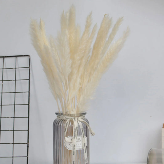 15 Natural Dried Pampas Grass Phragmites for DIY Home and Wedding Decor - Luminous Bear Shop